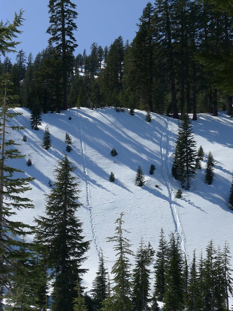 Lassen 114